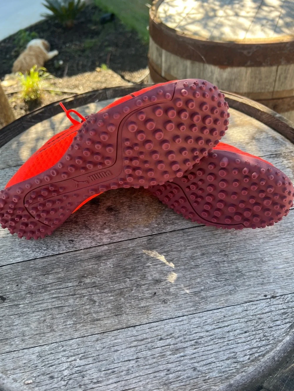 Puma bold red